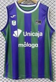 24-25 BAR Purple Green Vest