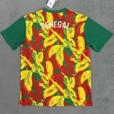 24-25 Senegal Red Yellow Green Special Edition Fans Training shirts