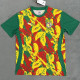 24-25 Senegal Red Yellow Green Special Edition Fans Training shirts