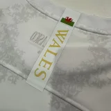 24-25 RMA Comma Special Edition Fans Training Shirts (背后WALES)