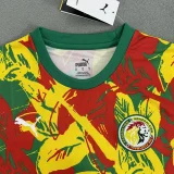 24-25 Senegal Red Yellow Green Special Edition Fans Training shirts
