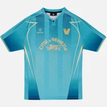 2024-25 Venezia FC Third Fans Soccer Jersey