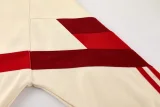2024-25 Bayern Khaki Hoodie Tracksuit (卫衣套装)