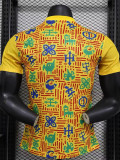 24-25 Ghana Yellow Player Version Training shirts