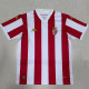 24-25 Monaco Special Edition Fans Soccer Jersey