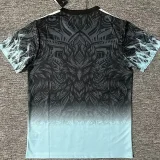 24-25 LIV Black Blue Special Edition Fans Training shirts