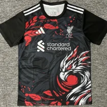 24-25 LIV Black Special Edition Fans Training shirts 
