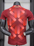 24-25 Germany Red Special Edition Player Version Training shirts
