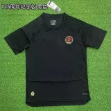 24-25 Aston Villa Black 150th Anniversary Fans Soccer Jersey