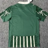 25-26 Palmeiras Green Special Edition Fans Soccer Jersey