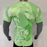25-26 Italy Grey Special Edition Fans Soccer Jersey