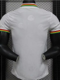 24-25 Senegal White Special Edition Player Version Training shirts