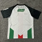 25-26 Deportivo Palestino Home Fans Soccer Jersey