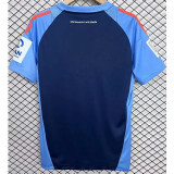 25-26 Hamburg SV Royal Blue Special Edition Fans Soccer Jersey