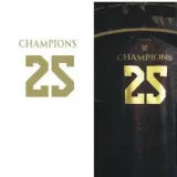 2025 PSG Grey Red Champion Training shirts