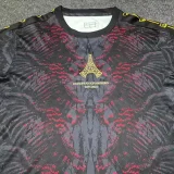 2025 PSG Grey Red Champion Training shirts