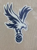 25-26 Crystal Palace Away Player Version Soccer Jersey