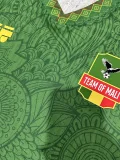 25-26 Mali Green Player Version Soccer Jersey