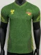 25-26 Mali Green Player Version Soccer Jersey