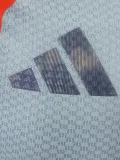 2026 Japan Grey Blue Player Version Soccer Jersey