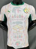 25-26 Senegal Home Player Version Soccer Jersey