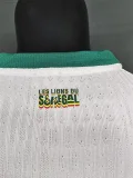 25-26 Senegal Home Player Version Soccer Jersey