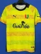24-25 Guinea Yellow Fans Training shirts