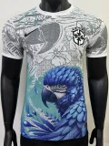 25-26 Brazil Grey Blue Special Edition Player Version Soccer Jersey