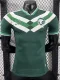 26-27 Saudi Arabia Special Edition Player Version Soccer Jersey