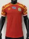 26-27 DR Congo Third Player Version Soccer Jersey