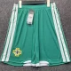 26-27 Northern Ireland Home Shorts Pants