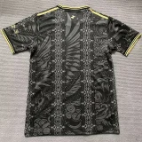 25-26 Argentina Black Gold Special Edition Training shirts