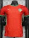 24-25 Morocco Home Player Version Soccer Jersey (带气吼)