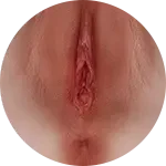 【LoveNestleシリーズ】Erovenus LN-RT-001 Caroline 等身大お尻 シリコン材質 非貫通オナホ 下半身 アダルトグッズ