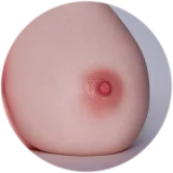 【LoveNestleシリーズ】Erovenus LN-T-014 Aiko 等身大トルソ 電動オナホ シリコン材質  繰り返し大型オナホ