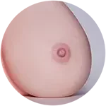 【LoveNestleシリーズ】Erovenus LN-T-019 Sarah 等身大下半身トルソ シリコン材質 据え置き大型オナホ
