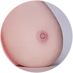 【LoveNestleシリーズ】Erovenus LN-T-027 Muse I おっぱいオナホ シリコン材質 超リアル 柔らかいオナホ