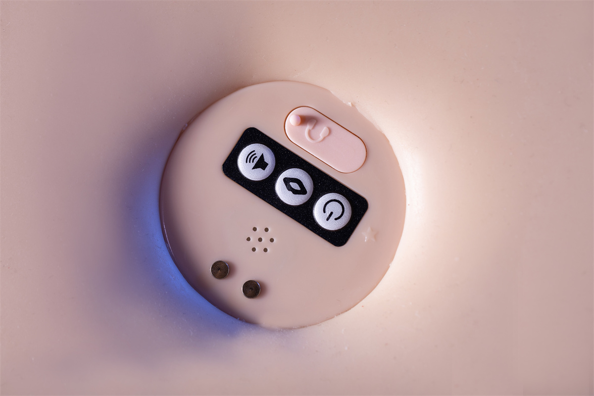リアルディルド型お尻 電動