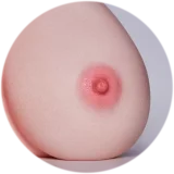 【Maxシリーズ】Erovenus LN-T-003 Savannah&Kellyヘッド 等身大全身オナホ シリコン材質 下半身大型オナホ