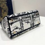 ★日本!!人気！レディディオール コピー LADY D-LITE ミディアムバッグ M0565OOMPM041