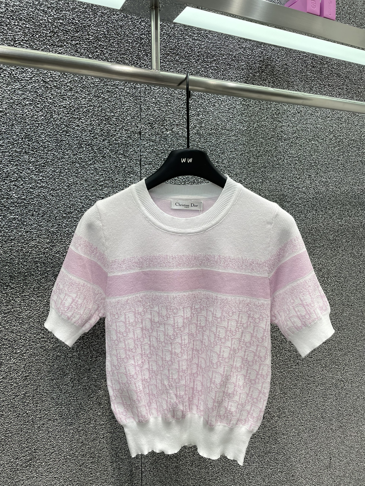 ★日本!!人気！2024 ディオール 新作 半袖Tシャツ 偽物 2色