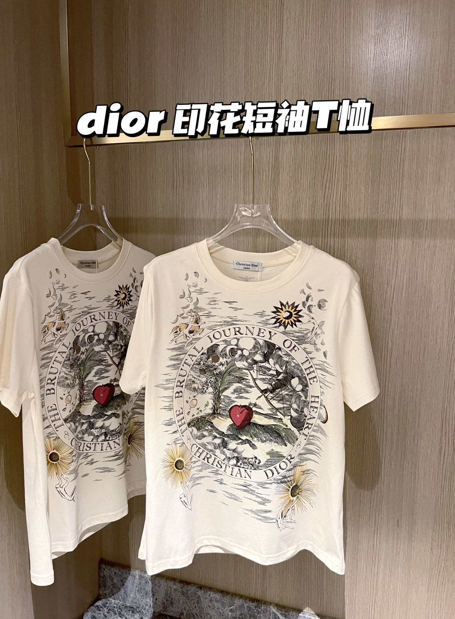 激安価格！2024 ディオール 新作 半袖Tシャツ スーパーコピー