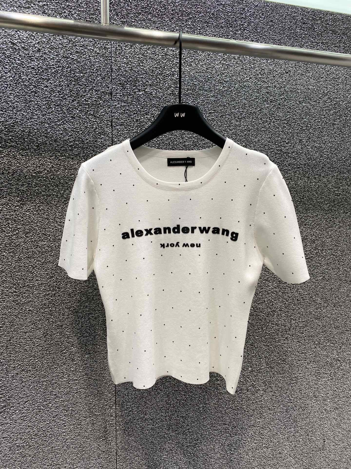 争奪戦 2024 アレキサンダー・ワン 新作 半袖Tシャツ コピー 2色