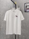 絶対欲しい！ 2026 ディオール 新作 半袖Tシャツ スーパーコピー