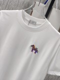 絶対欲しい！ 2026 ディオール 新作 半袖Tシャツ スーパーコピー