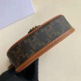 日本未入荷 セリーヌ ショルダーバッグ コピー トリオンフキャンバス ミニ ブザス 196702BZJ04LU
