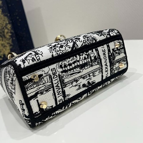世界中で大人気♪レディ ディオール 偽物 D-LITE ミニバッグ エンブロイダリー del82693