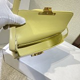 累積売上総額第１位！セリーヌ 偽物トリオンフチェーンショルダーバッグ リザード 4色 197994BFJ.29VD