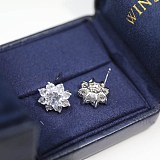 春もの新作 ハリー ウィンストン プラチナ & ダイヤモンド ピアス 偽物 ind74258