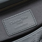 稀少レディディオール 偽物 バッグ カナージュ カーフスキン dew75592